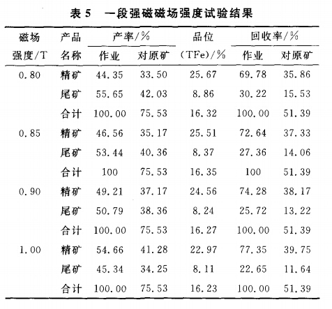 一段強磁磁場強度試驗結果