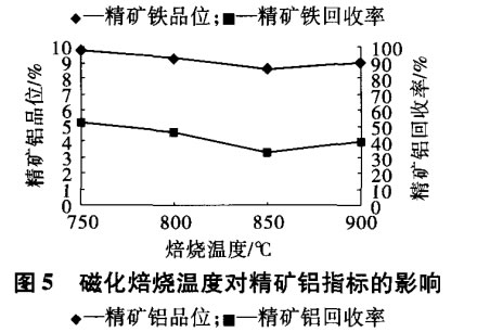 磁化焙燒溫度對精礦鋁指標(biāo)的影響