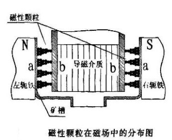 磁性顆粒在磁場中的分布圖